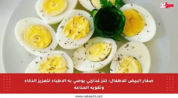 صفار البيض للأطفال: كنز غذائي يوصي به الأطباء لتعزيز الذكاء وتقوية المناعة